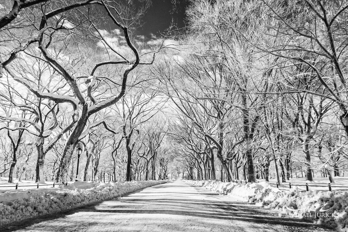 Photos of Central Park in Infrared in the snow storm of 2014 by top New York Photographer Michael Jurick