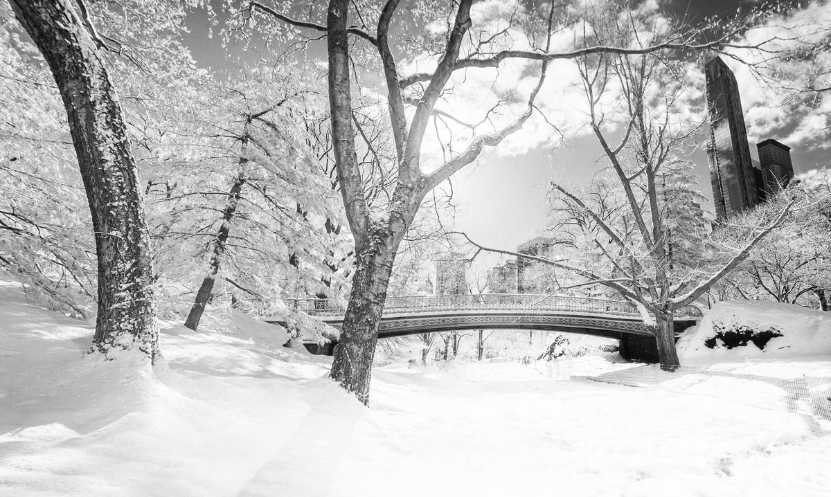 Photos of Central Park in Infrared in the snow storm of 2014 by top New York Photographer Michael Jurick