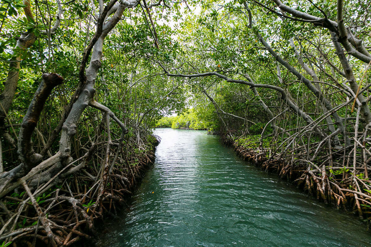 Gorgeous photos of Puerto Rico by top New York Photographer Michael Jurick