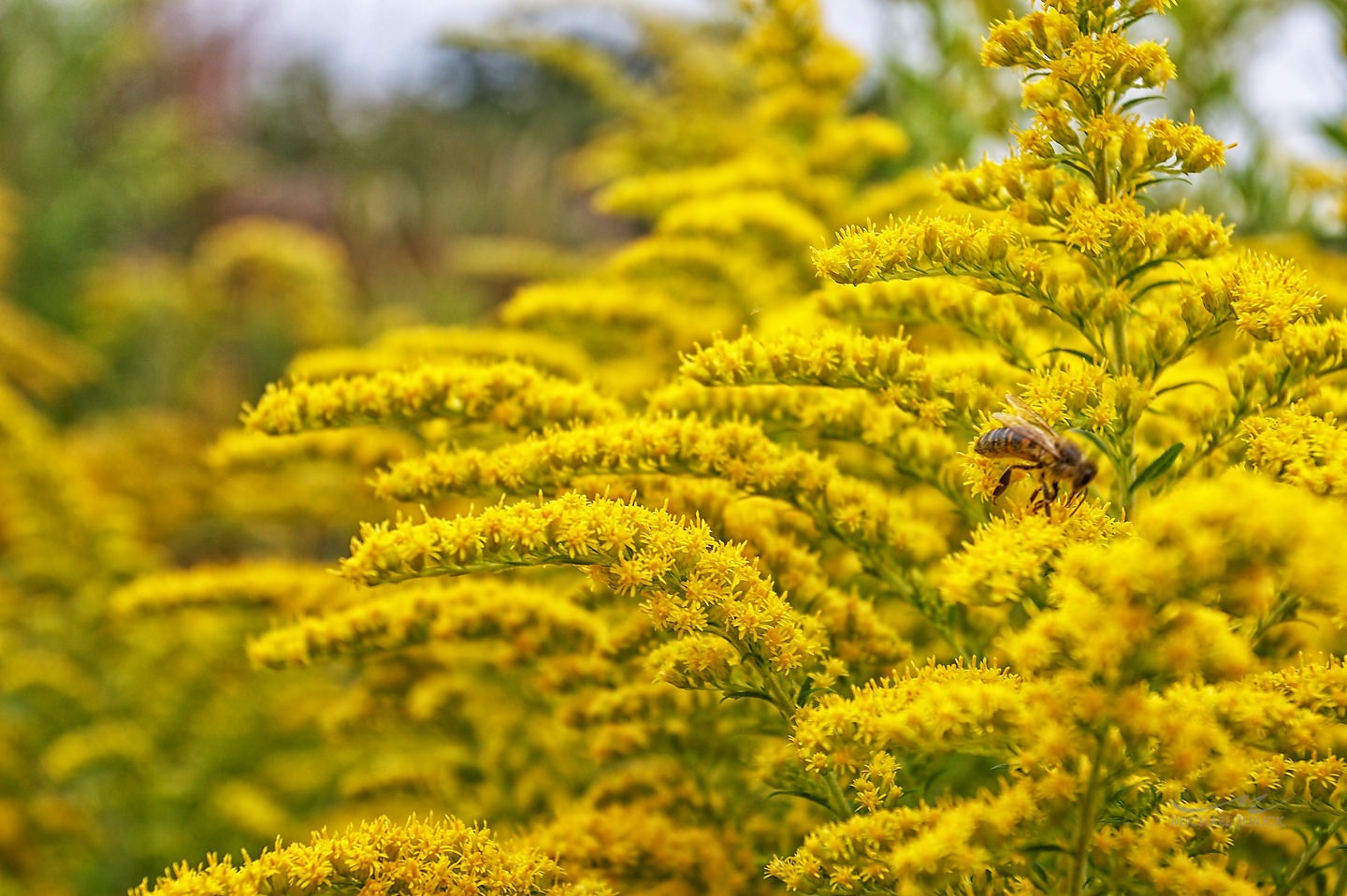 stunning photographs of England by top New York Photographer Michael Jurick