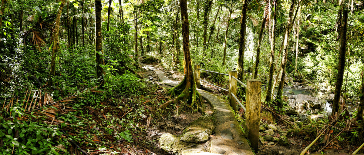 Gorgeous photos of Puerto Rico by top New York Photographer Michael Jurick