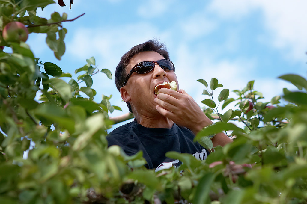 Fall Apple Picking photos by top New York Photographer Michael Jurick