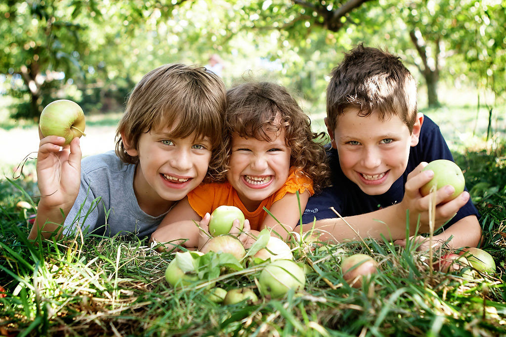 Fall Apple Picking photos by top New York Photographer Michael Jurick