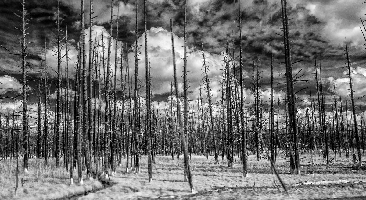 Big Sky Montana and Jackson Hole Wyoming Photographs by top New York Photographer Michael Jurick