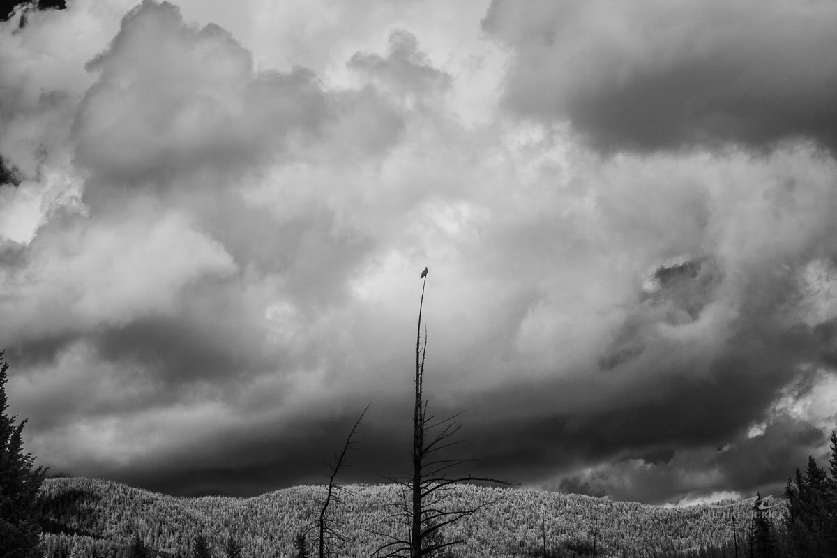 Big Sky Montana and Jackson Hole Wyoming Photographs by top New York Photographer Michael Jurick