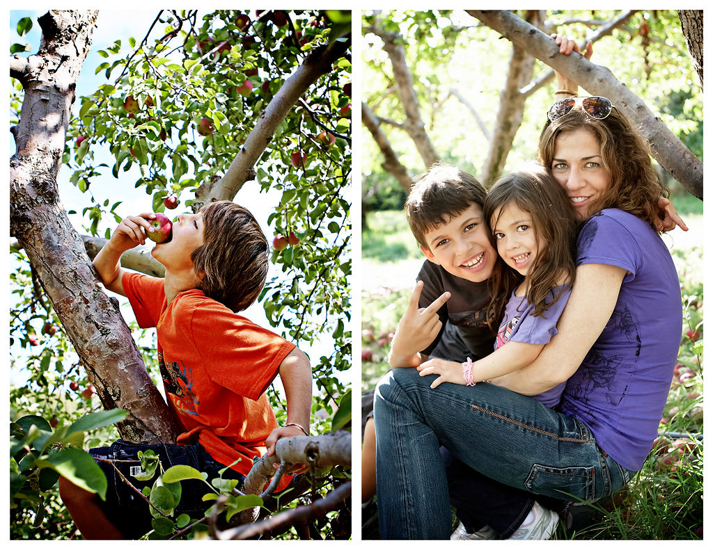 Fall Apple Picking photos by top New York Photographer Michael Jurick