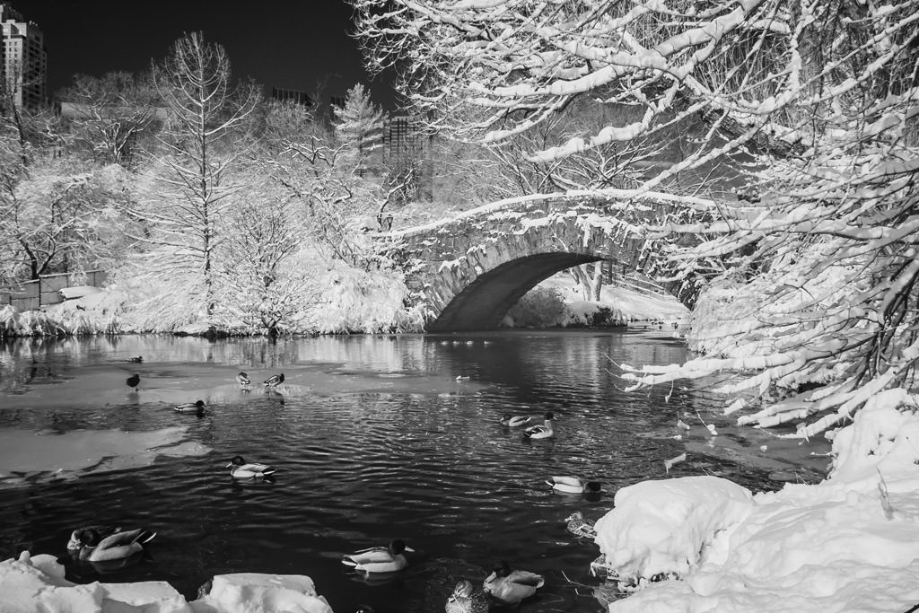 Central Park in the Snow in Infrared by top New York Photographer Michael Jurick