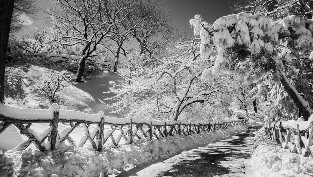 Central Park in the Snow in Infrared by top New York Photographer Michael Jurick