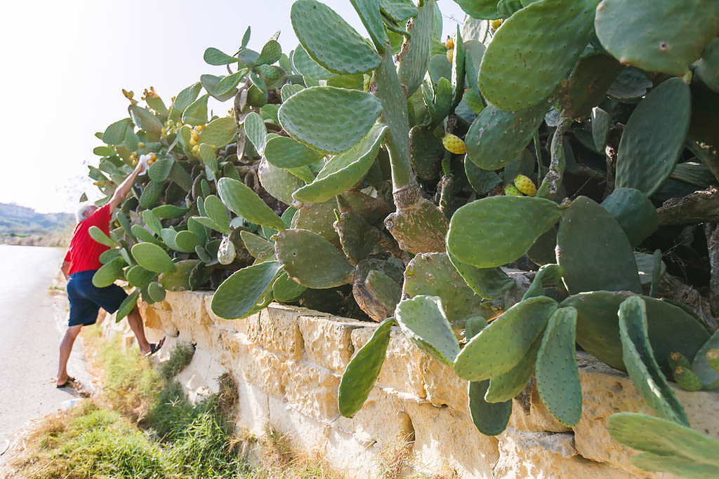 incredible photos of Malta by top New York Photographer Michael Jurick