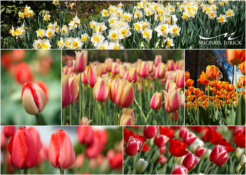 Spring 2011