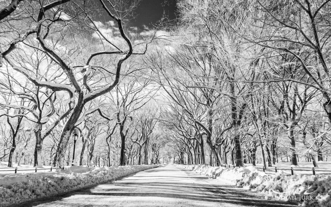 Central Park in Infrared – Winter 2014