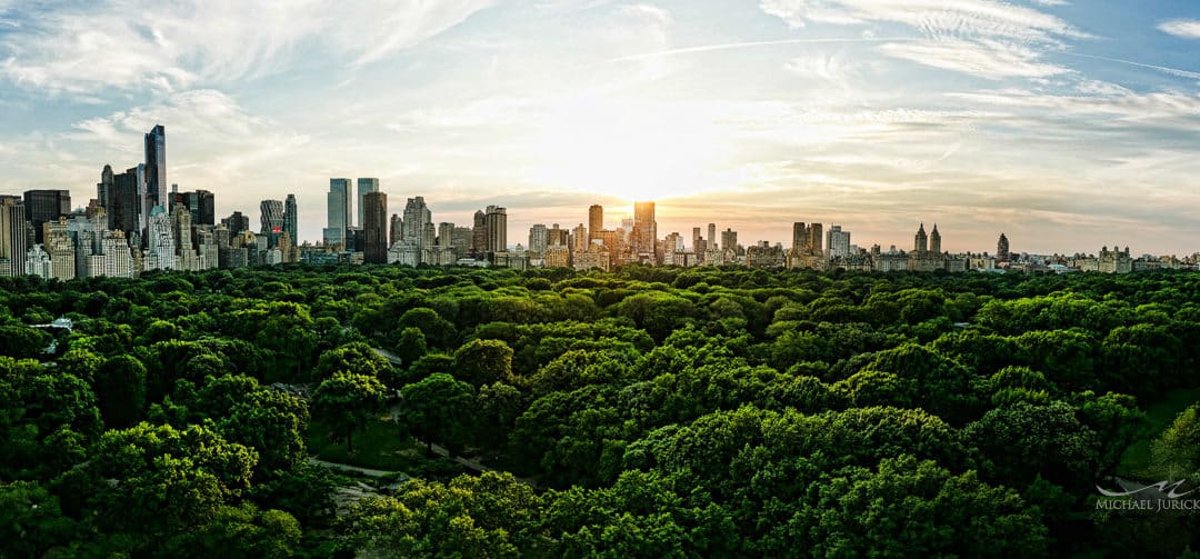 New York State of Mind – Central Park from High Above