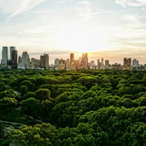 New York State of Mind – Central Park from High Above